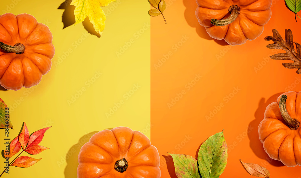 Autumn pumpkins with colorful leaves overhead view - flat lay