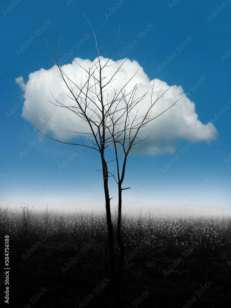 bare tree and white cloud behind conceptual minimal design