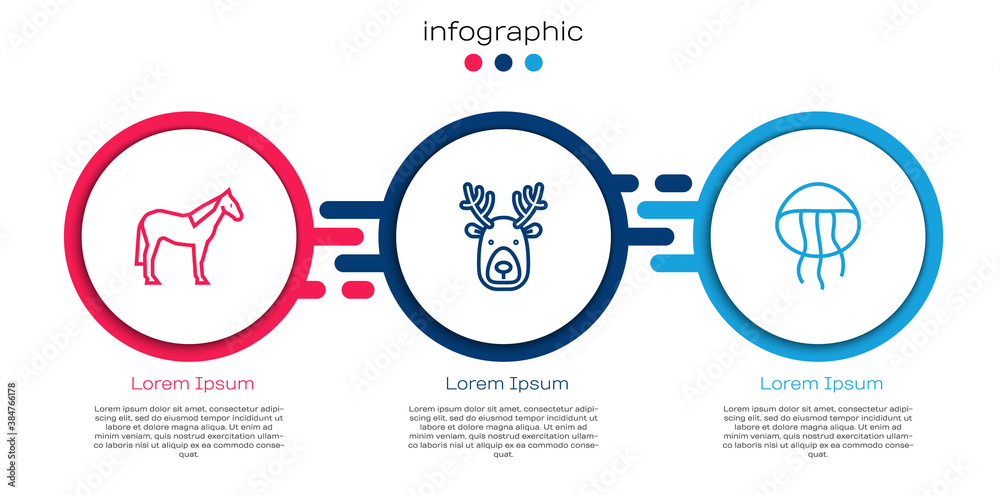 套索马、鹿角鹿头和水母。商业信息图模板。矢量。