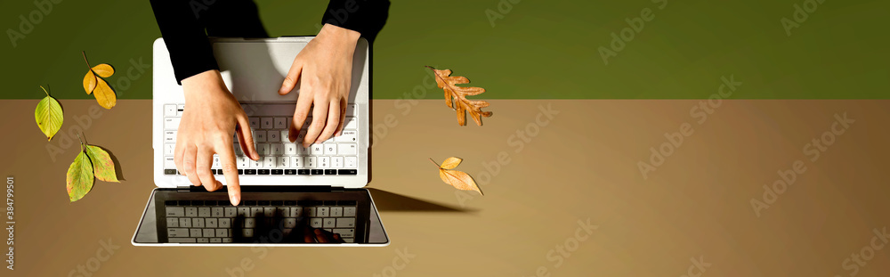 Autumn leaves with person using a laptop computer from above