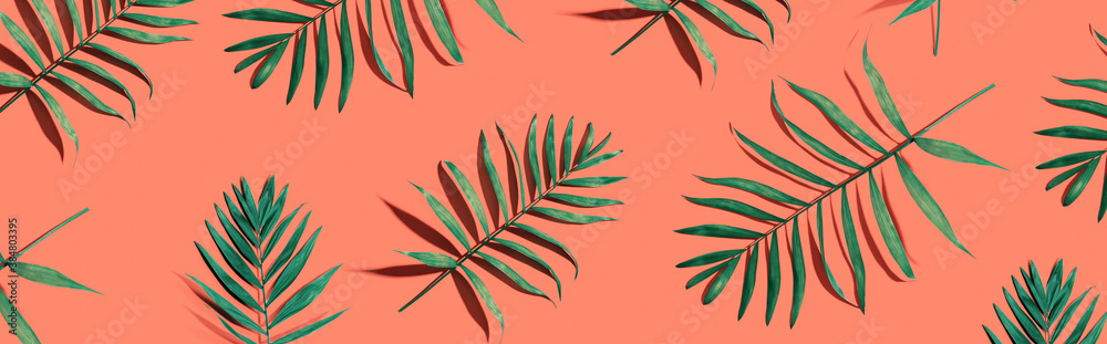 Tropical palm leaves from above - flat lay