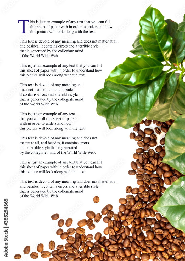 The coffee tree and coffee beans on the white background with an example of text.