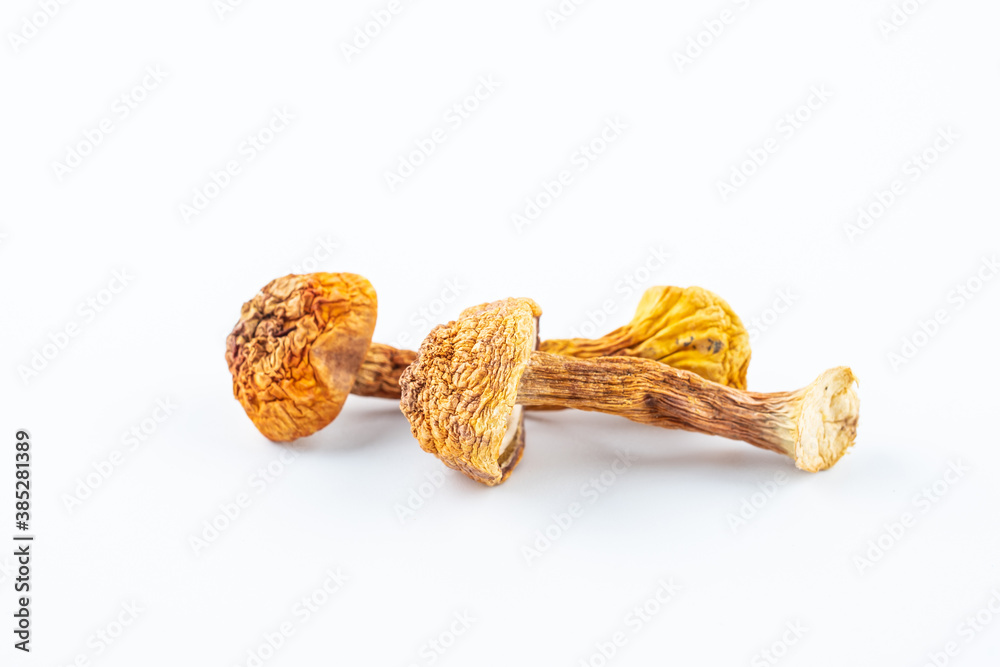 Wild matsutake dried on white background