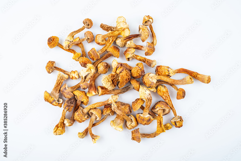 Wild matsutake dried on white background