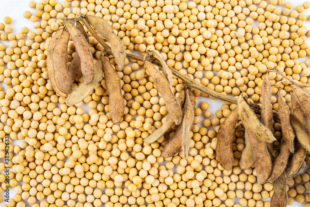 Soy beans and edamame pods on white background