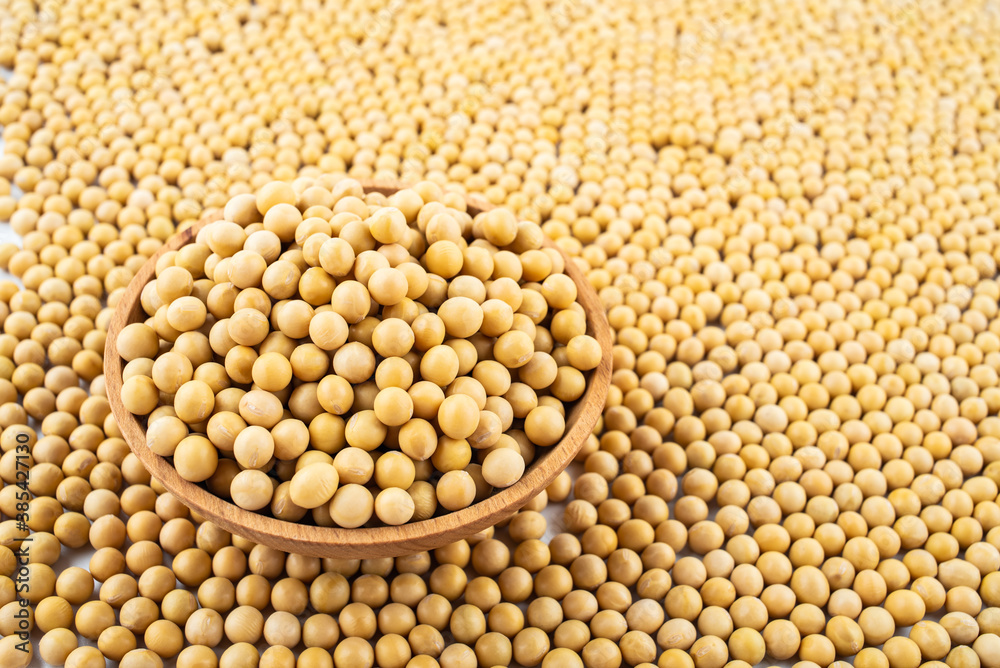 Full screen of golden soybeans