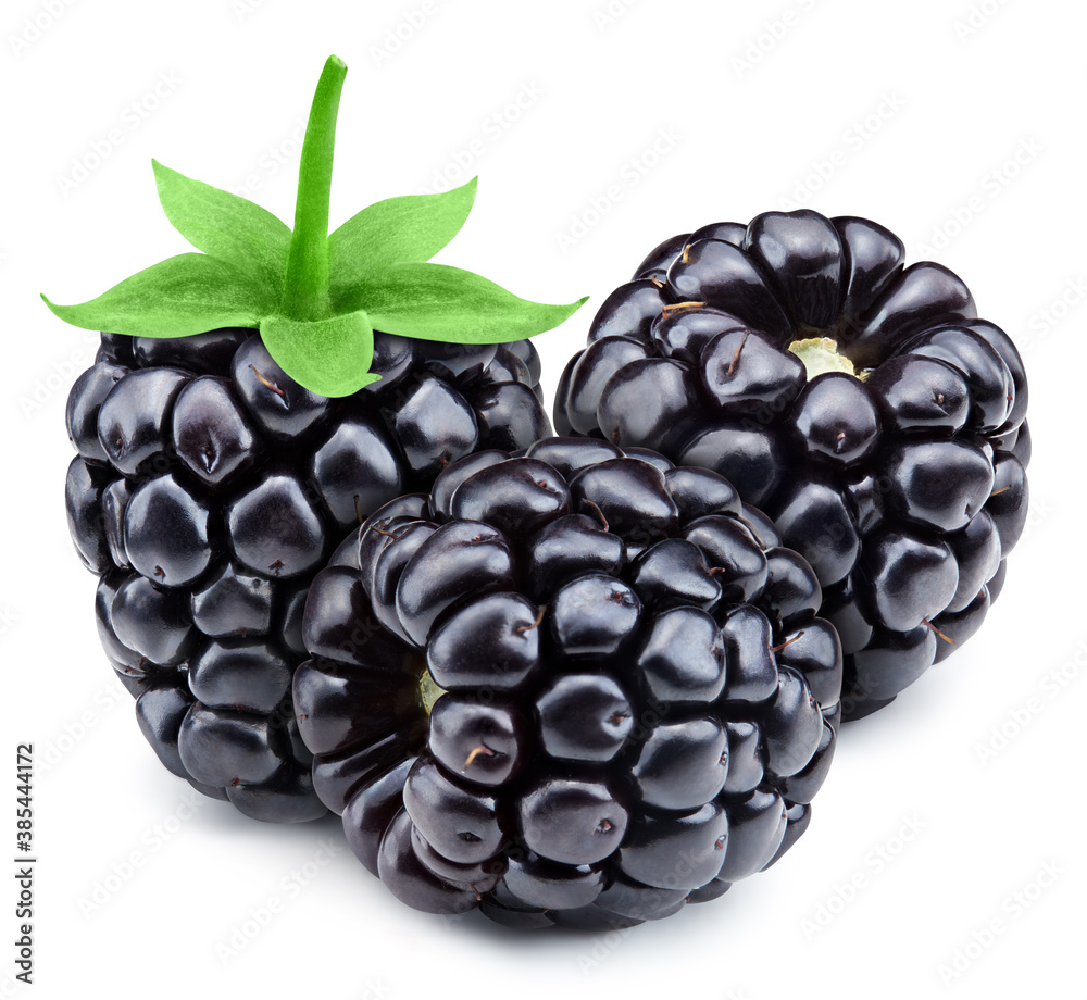 Fresh juicy blackbery with leaves on a white background with clipping path. Image stack full depth o