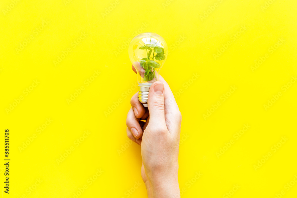 Hand holds light bulb with grass inside - green energy concept, top view