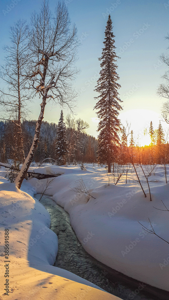 travel through the Siberian forests at different times of the year

