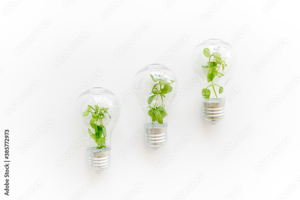 Energy saving light bulb with green plant inside, top view