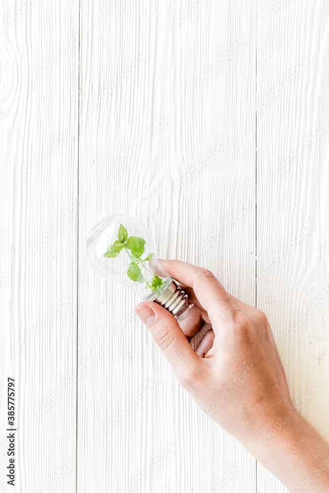 Hand holds light bulb with grass inside - green energy concept, top view