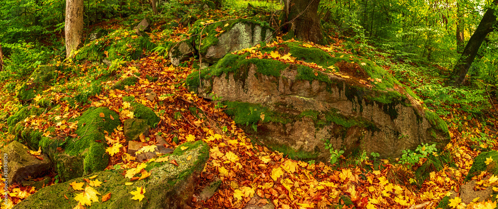 Beautiful autumn landscape