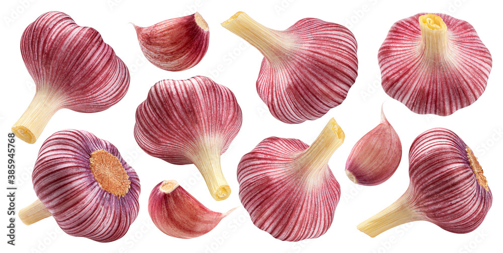 Purple garlic bulb and garlic cloves on white background