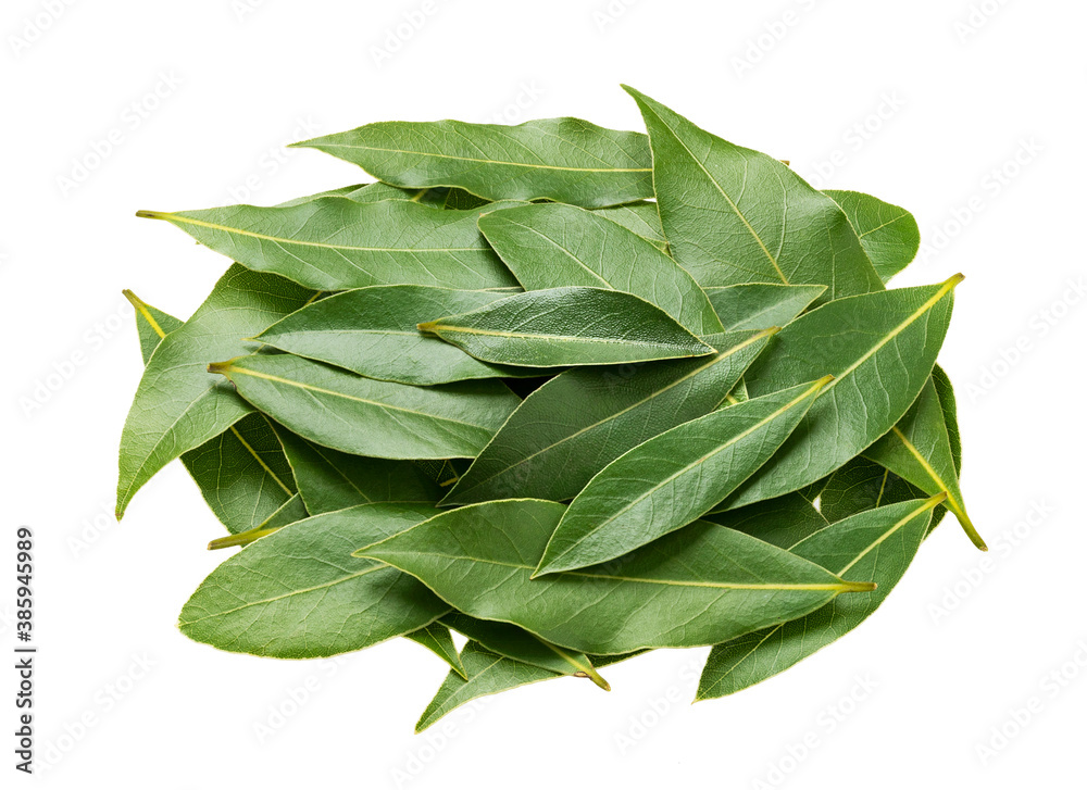 Fresh bay leaves isolated on white background