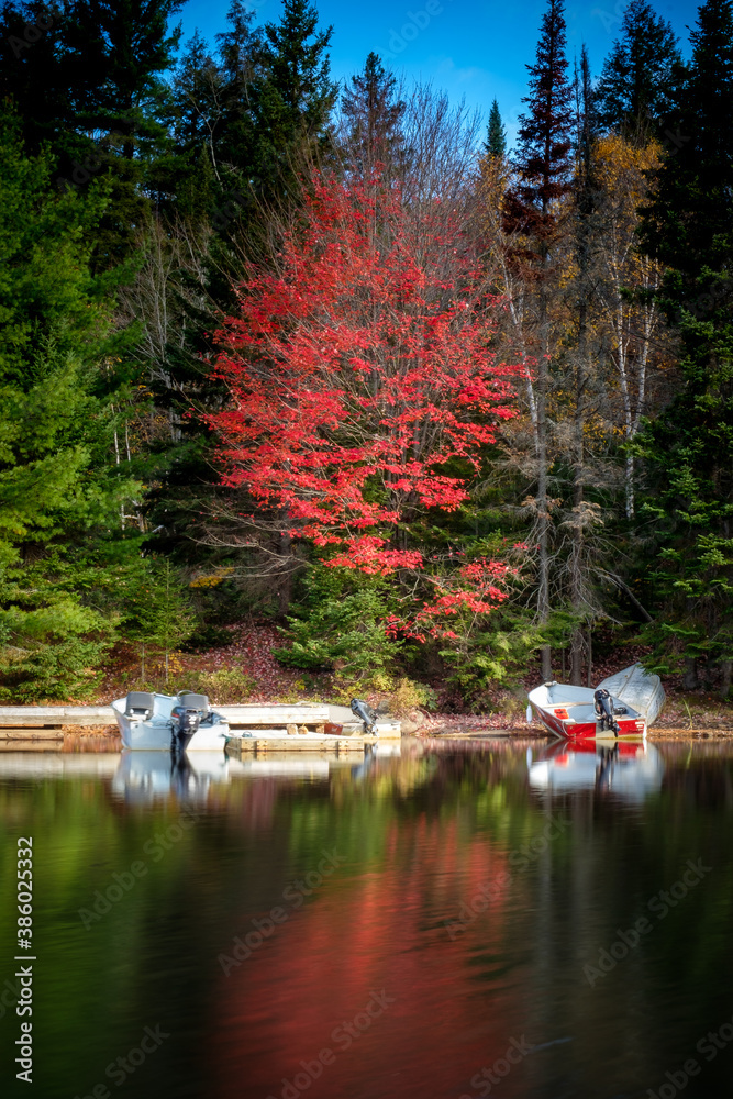 Bright red tree reflected in water - Algonquin Park, Ontario, Canada