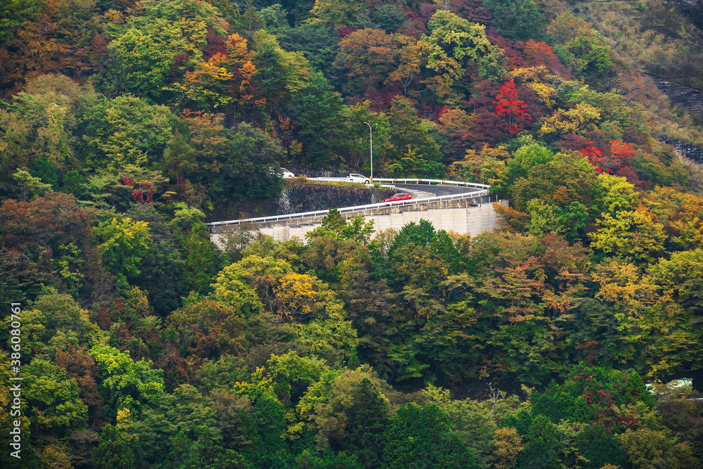 栃木県・日光・山の中の道