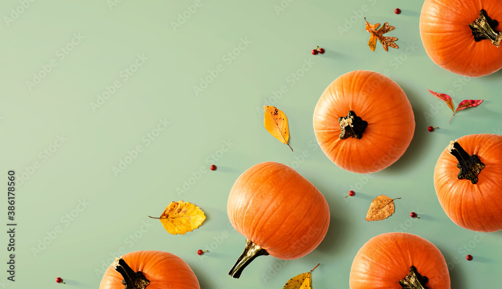 Autumn pumpkins with colorful leaves overhead view - flat lay