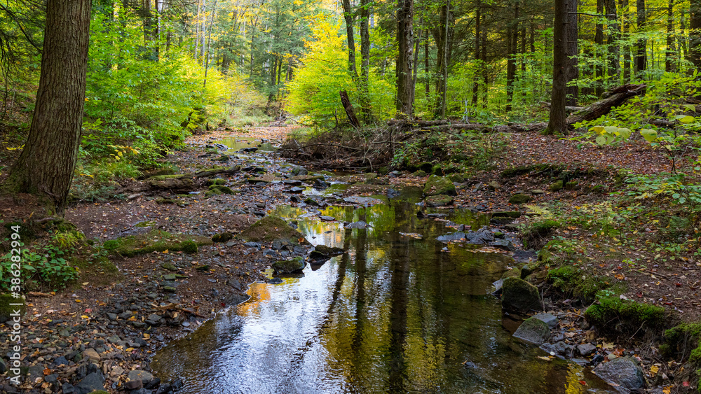 Autumn Stream in the forest