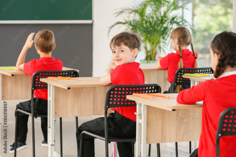 Cute pupils during lesson in classroom