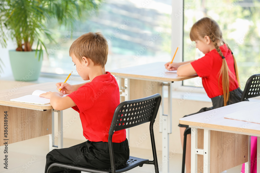 Cute pupils during lesson in classroom