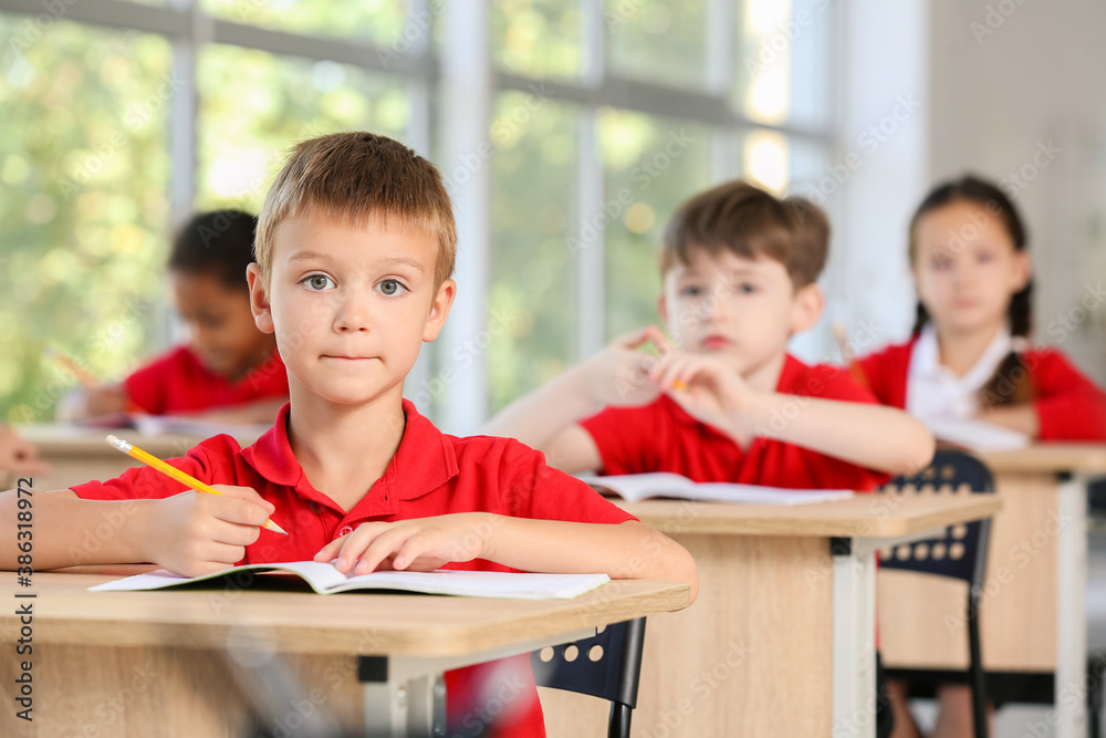 Cute pupils during lesson in classroom