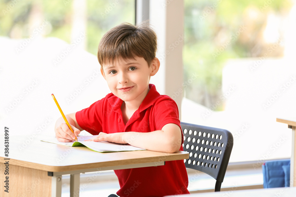 Cute schoolboy during lesson in classroom