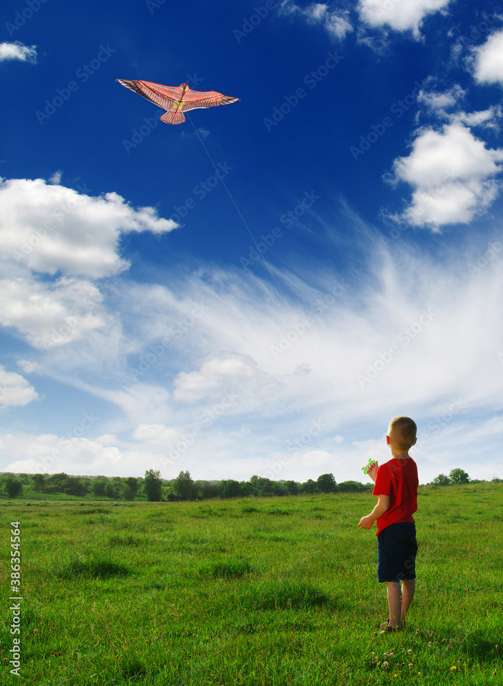  Little boy playing with kite on field