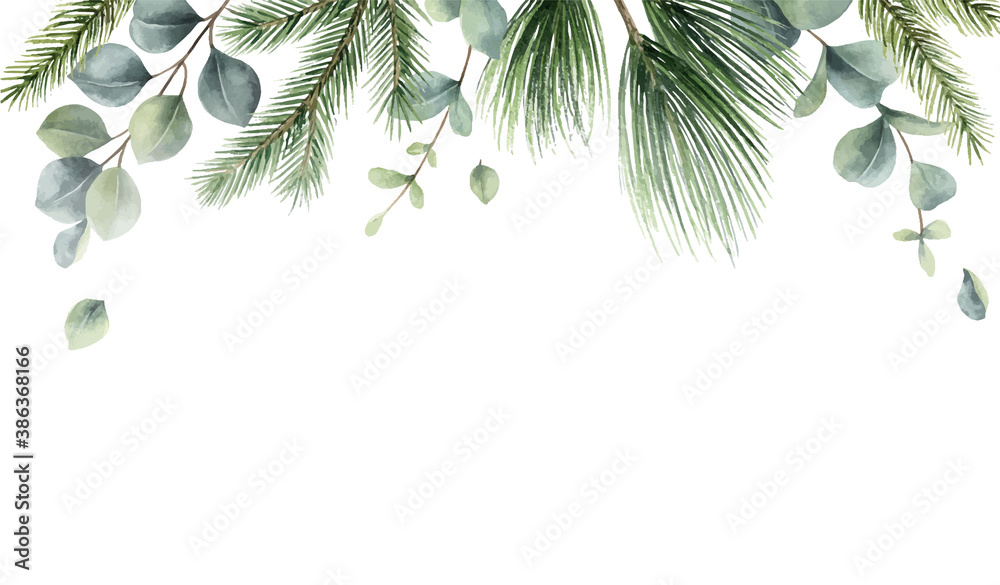 Watercolor vector Christmas card with fir branches and eucalyptus leaves.