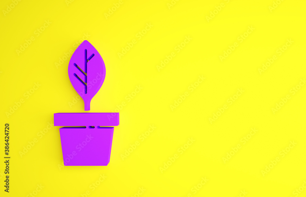 Purple Plant in pot icon isolated on yellow background. Plant growing in a pot. Potted plant sign. M