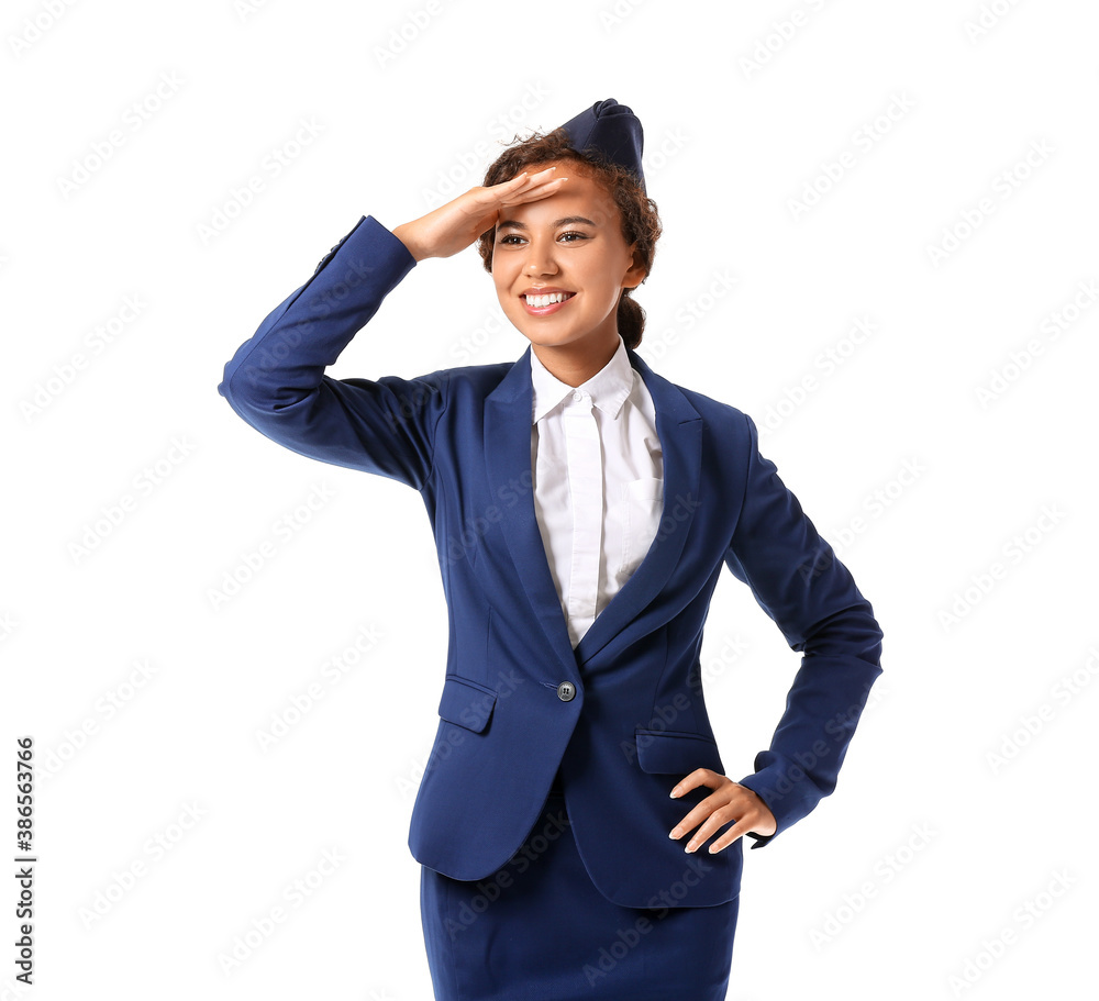 Beautiful African-American stewardess on white background