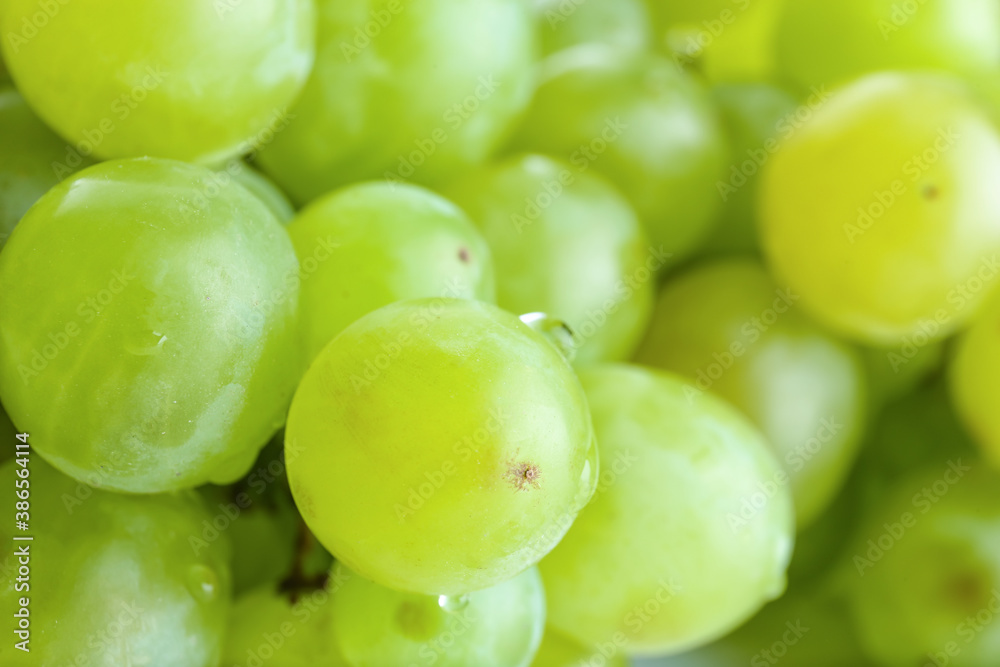 Ripe green grapes as background, closeup