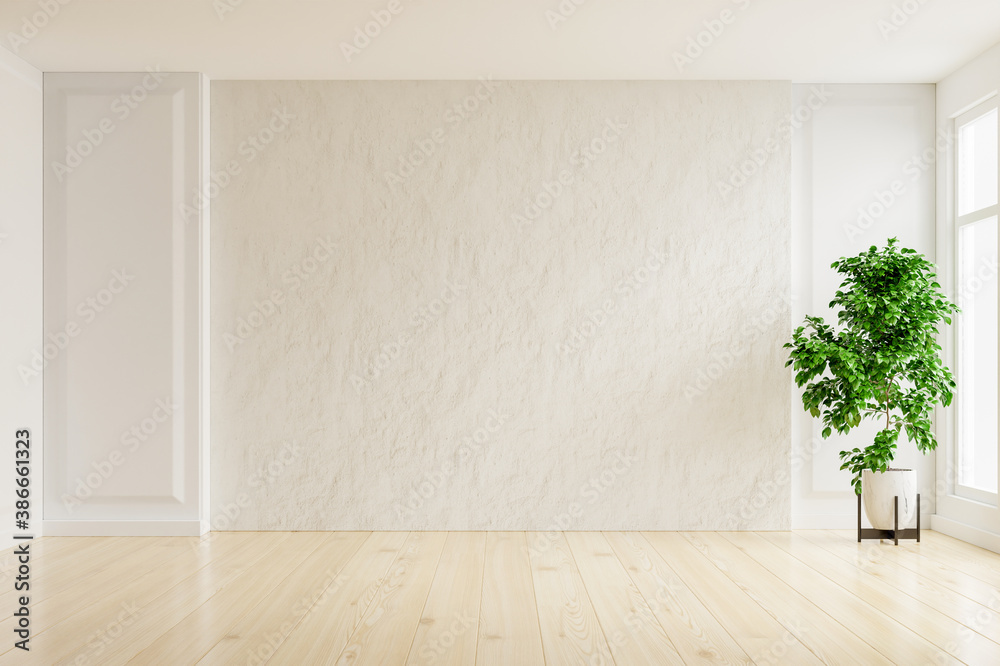 White plaster wall empty room with plants on a floor.