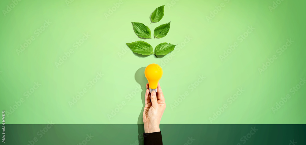 Person holding a light bulbs with green leaves