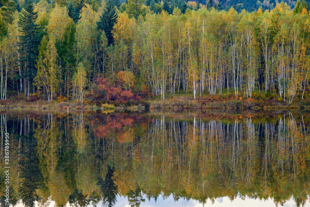 The Hinggan mountains of China autumn landscape. 