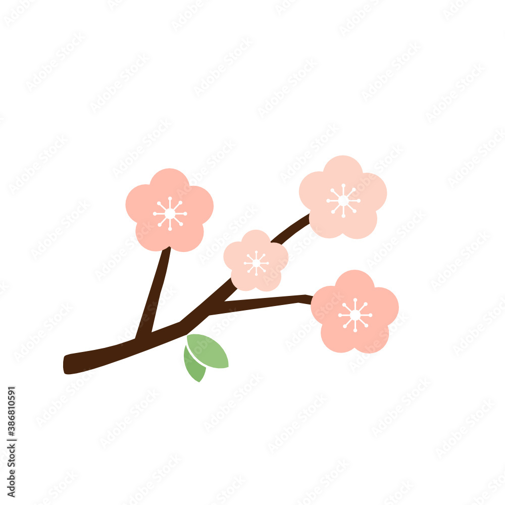 Pink cherry blossom branch on white background vector. Sakura Japanese flower.