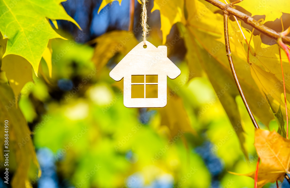 The symbol of the house house on a background of yellow maple leaves
