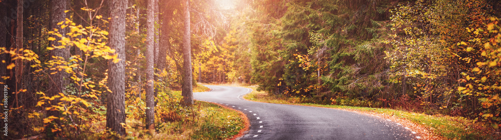 Asphalt road with beautiful trees on the sides in autumn