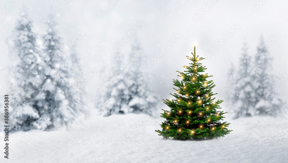 Glänzender Weihnachtsbaum in einem Verschneiten Winterwald