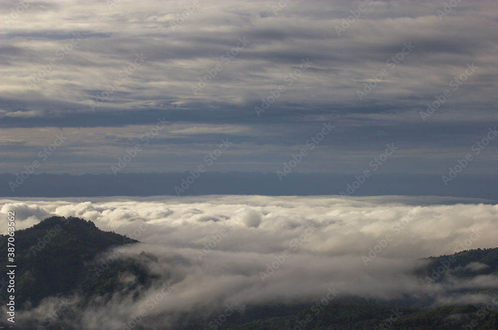 aerial view of mountain