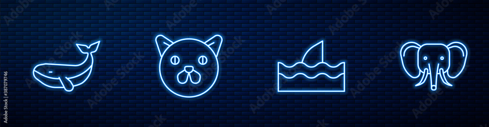 Set line Shark fin in ocean wave, Whale, Cat and Elephant. Glowing neon icon on brick wall. Vector.