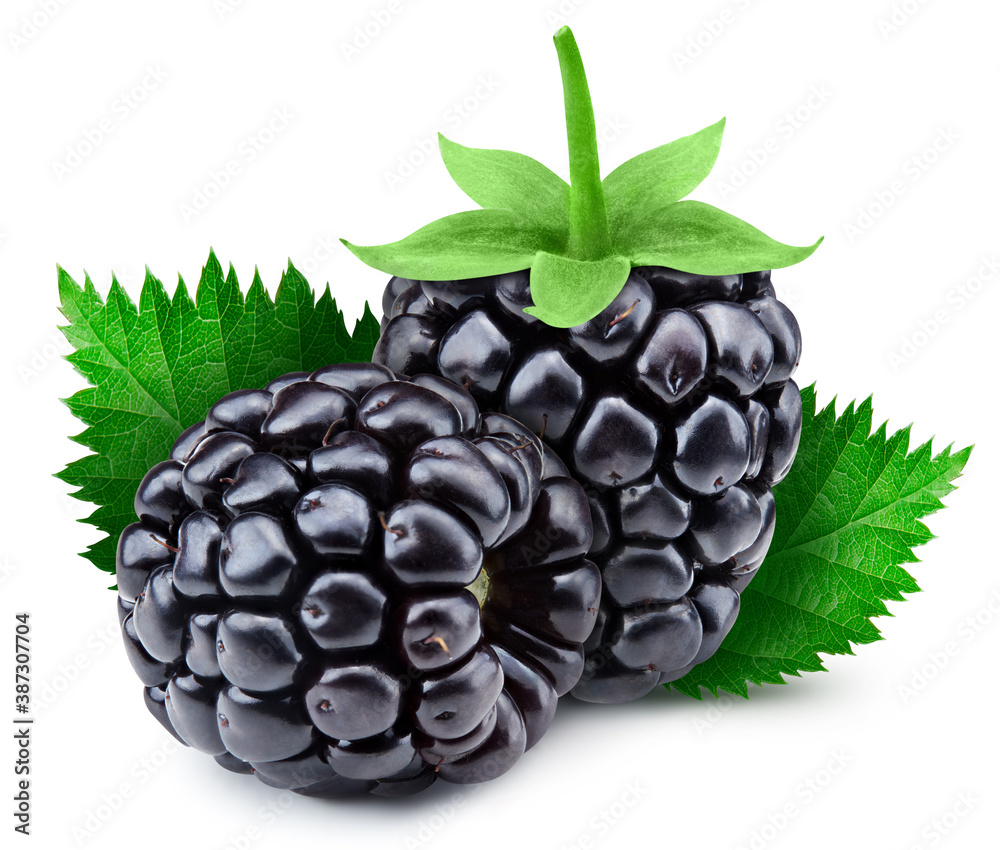 Two delicious blackberries with leaves