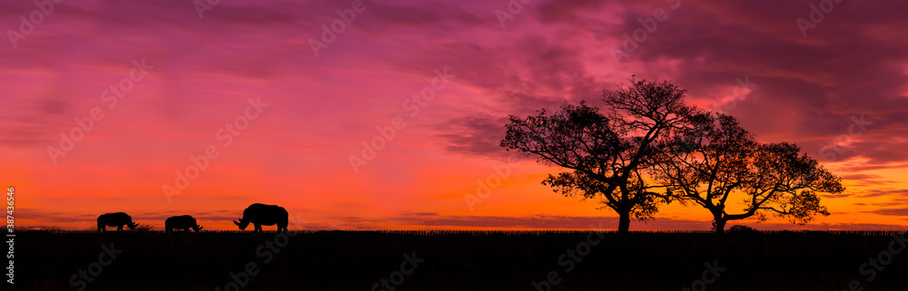 Amazing sunset and sunrise.Panorama silhouette tree in africa with sunset.Rhino.