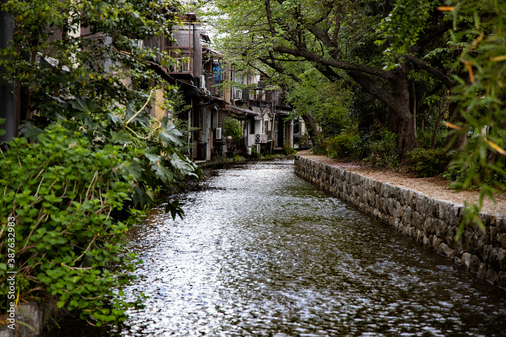 kyoto 