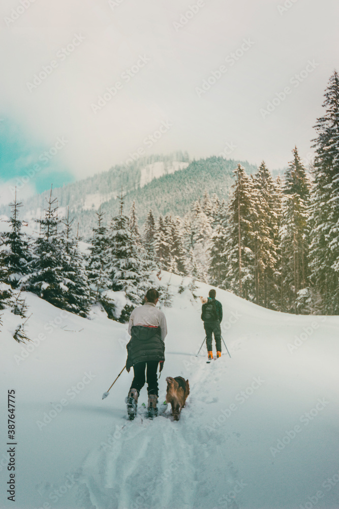 两个越野滑雪的偏远地区滑雪者在空中行走，他们的宠物边境牧羊犬在p中间