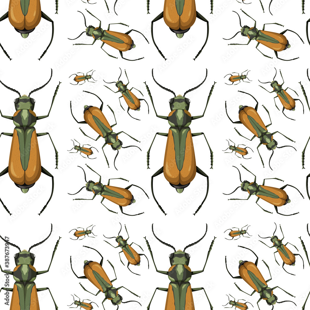 Malachius Aeneus insect seamless background