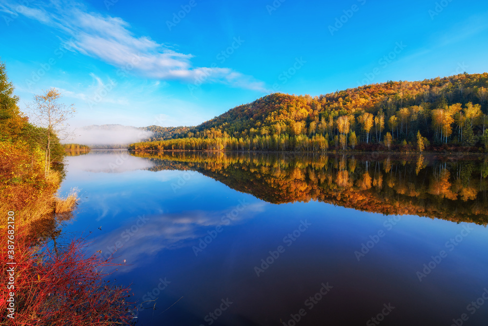 中国新加坡的秋天风景。