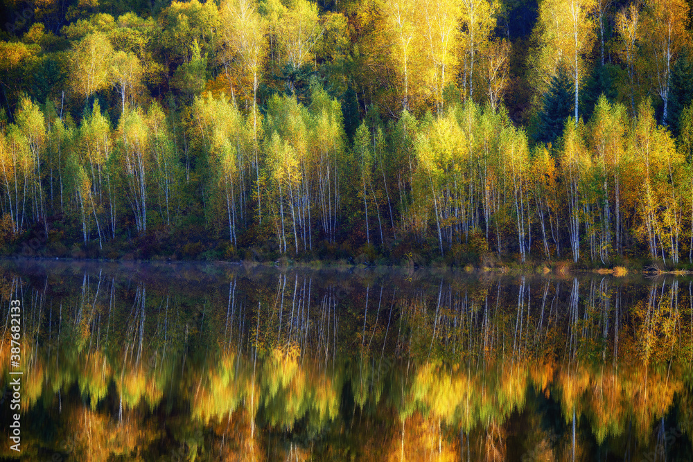 The autumn landscape of Singanense of China.