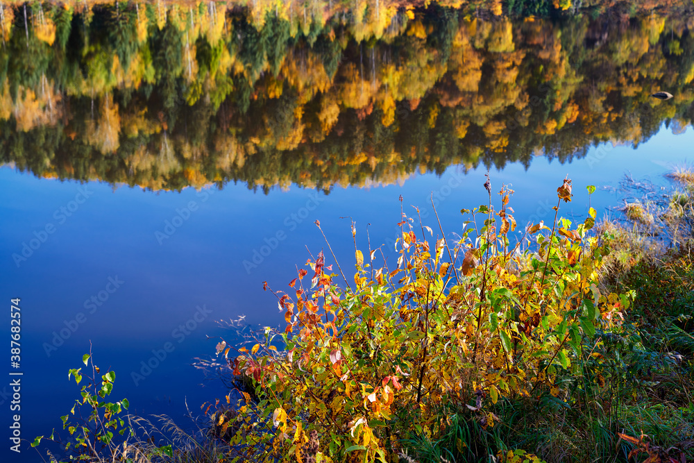 The autumn landscape of Singanense of China.