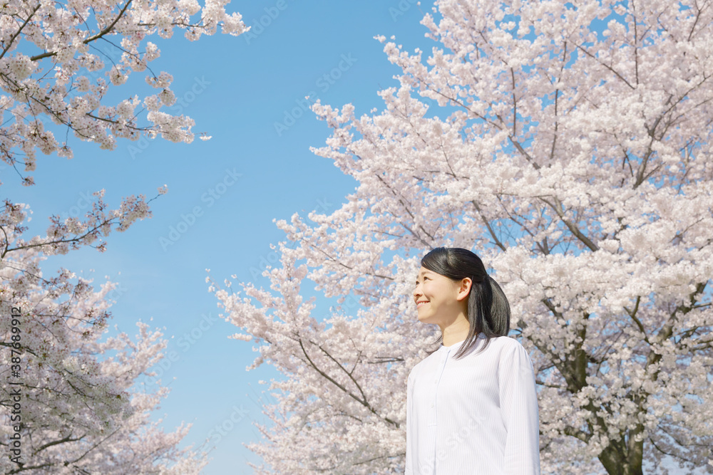 女性　桜　満開