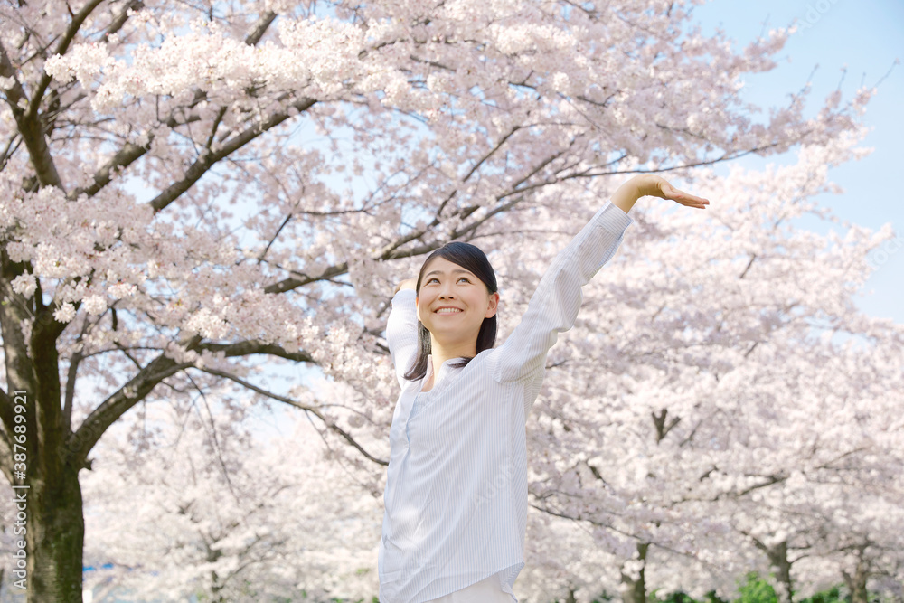 女性　桜　満開